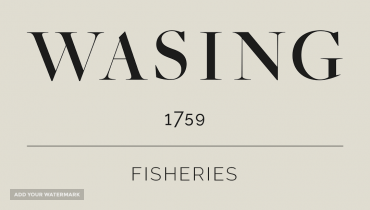 Wasing Fisheries