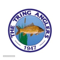 Tring Anglers