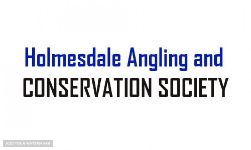 Holmesdale Angling and Conservation Society