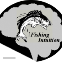 How to Use Fishing Intuition to Catch More Fish